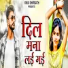 About Dil Mana lai Gai Song